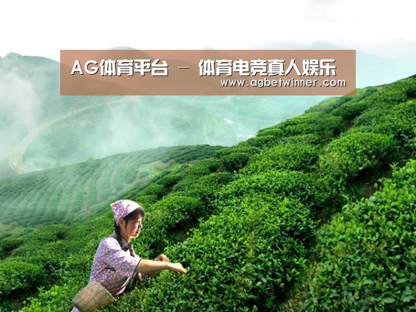 AG体育平台 - 体育电竞真人娱乐