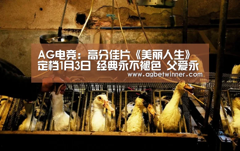 AG电竞:高分佳片《美丽人生》定档1月3日 经典永不褪色 父爱永远伟大(图1) AG电竞