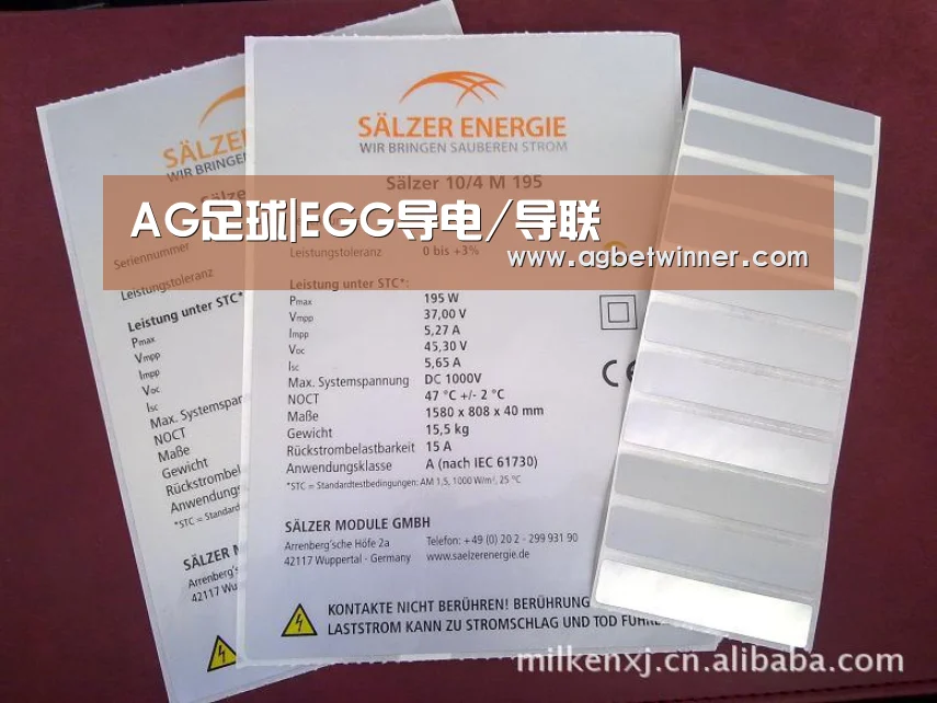 AG足球|EGG导电/导联(图1) AG电竞