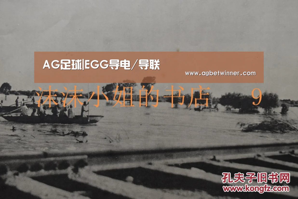 AG足球|EGG导电/导联(图3) AG国际厅