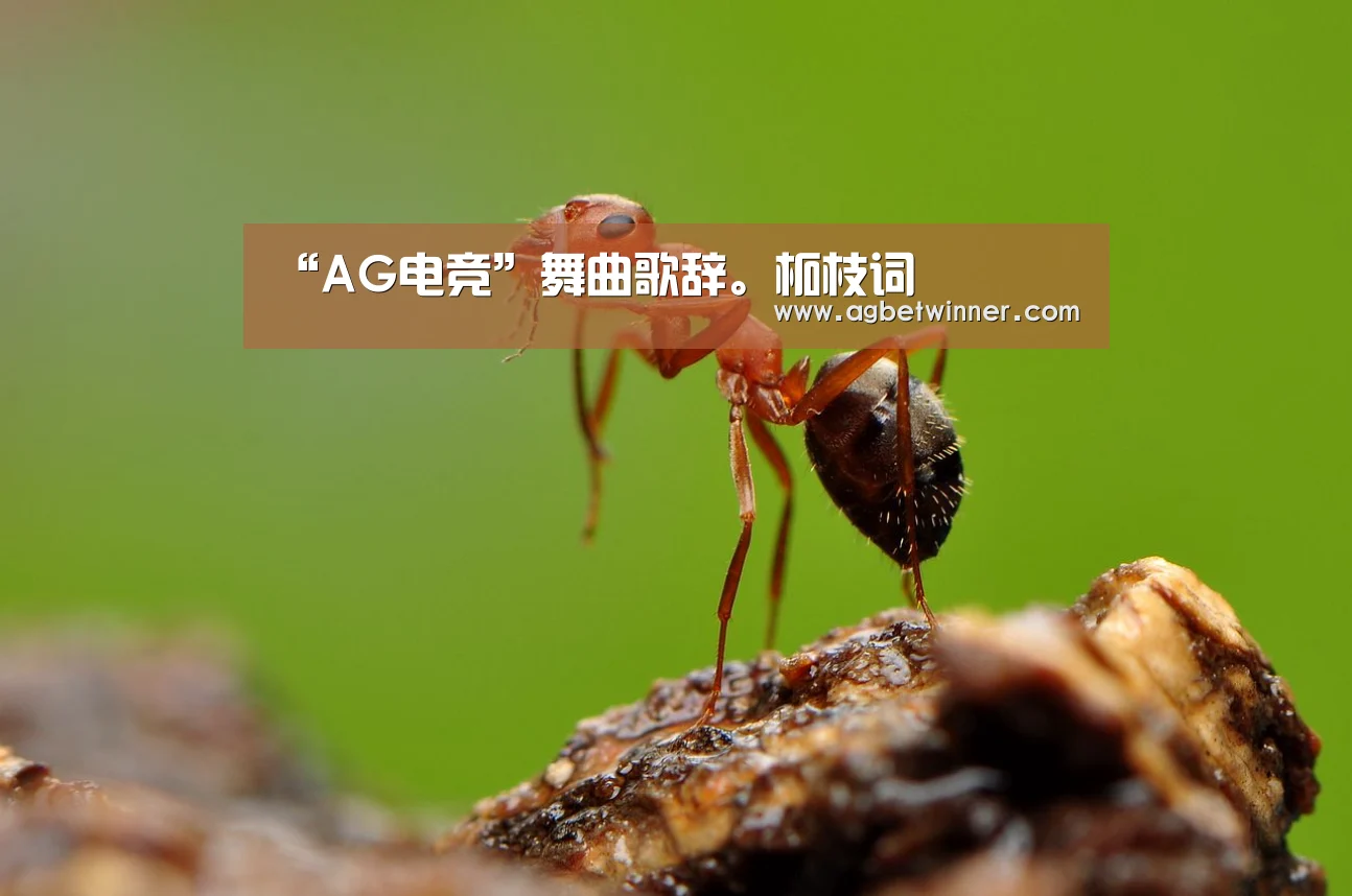“AG电竞”舞曲歌辞。柘枝词(图1) AG国际厅